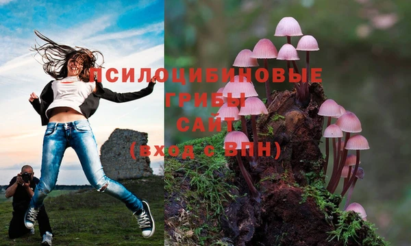 MESCALINE Аркадак