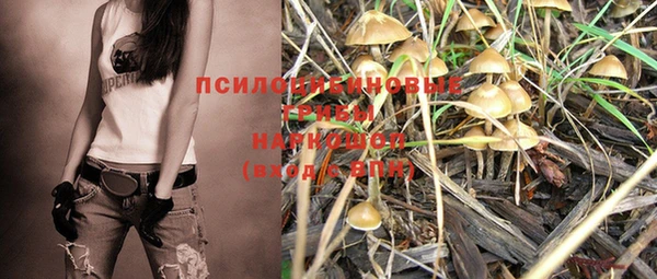 круглые Арсеньев